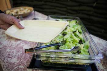 Palm leaf plates