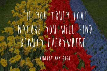 Van Gogh and nature