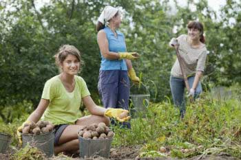 Volunteering at farms
