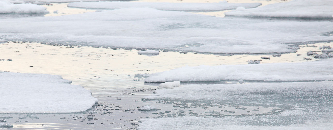 Polar melting in figures