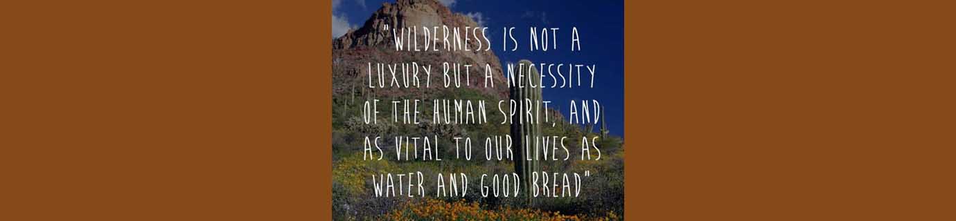 Edward Abbey and nature
