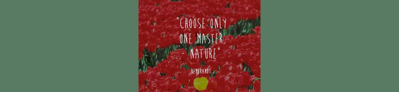 Rembrandt and the only one master