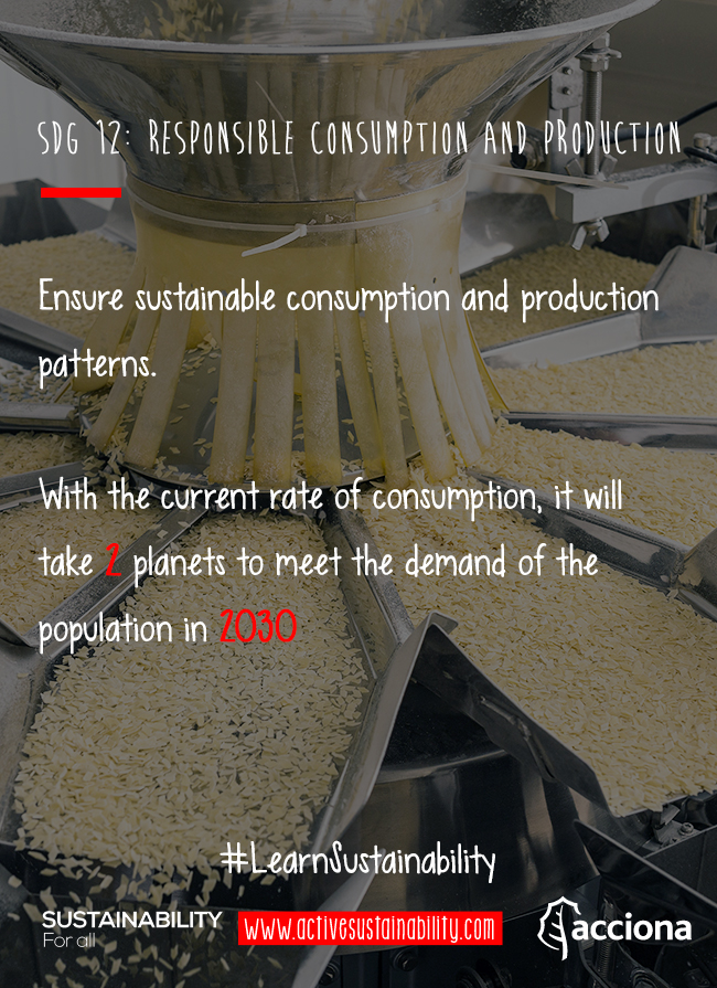 #LearnSustainability: SDG 12