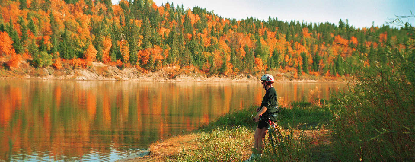Connecting people to nature