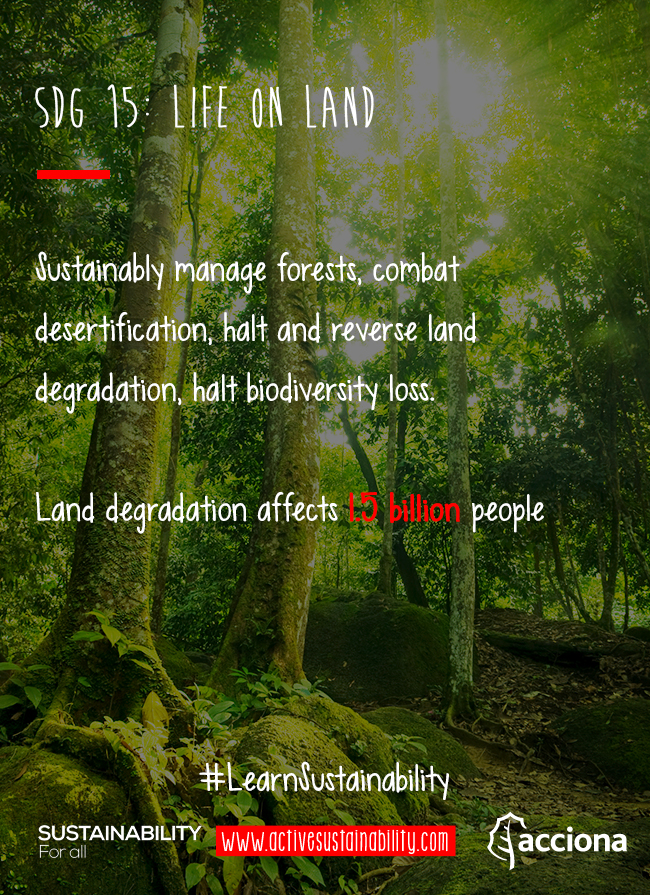 #LearnSustainability: SDG 15