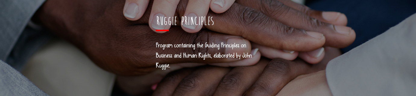 #LearnSustainability: Ruggie Principles