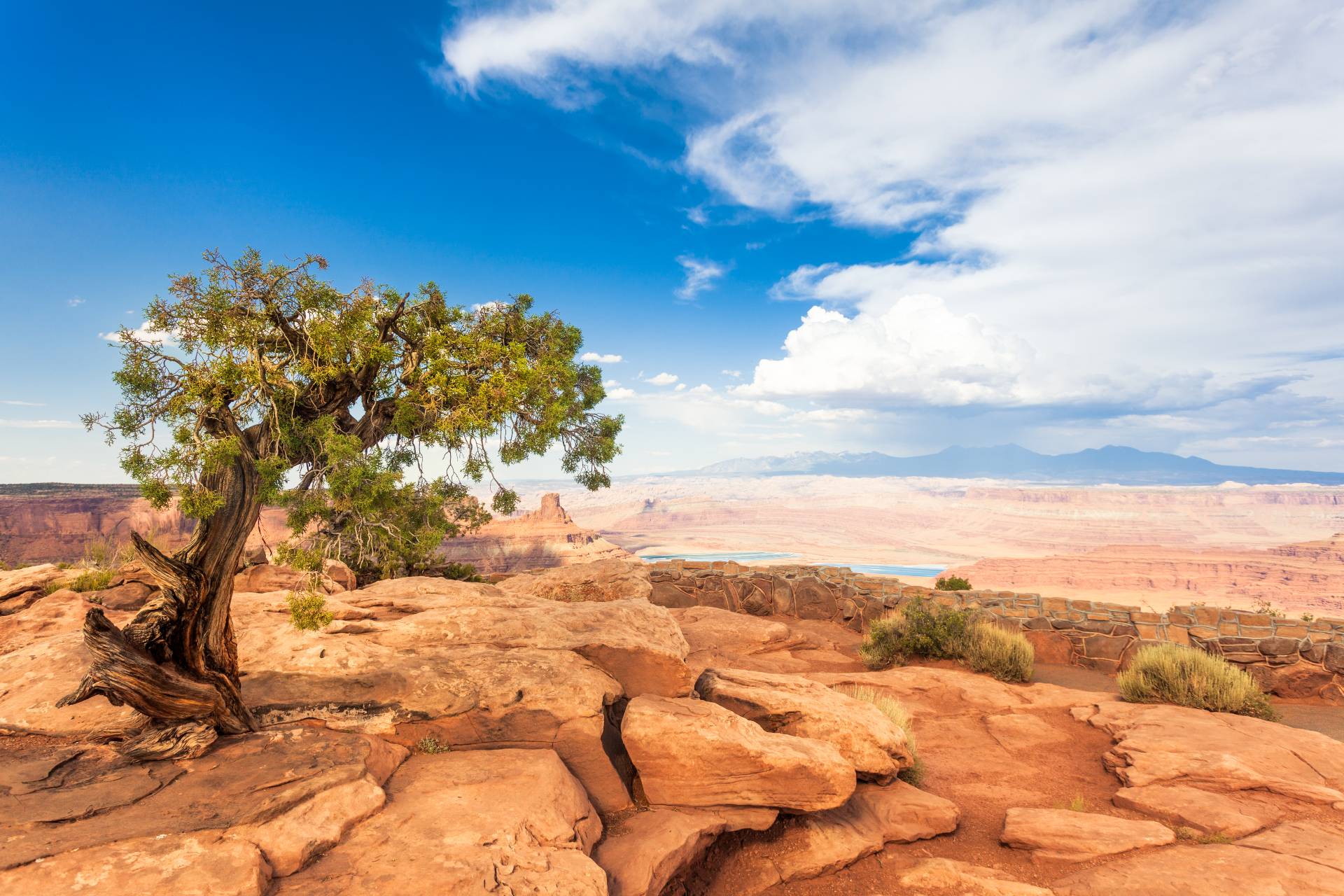 How to combat desertification: Let's put the brakes on the deserts!