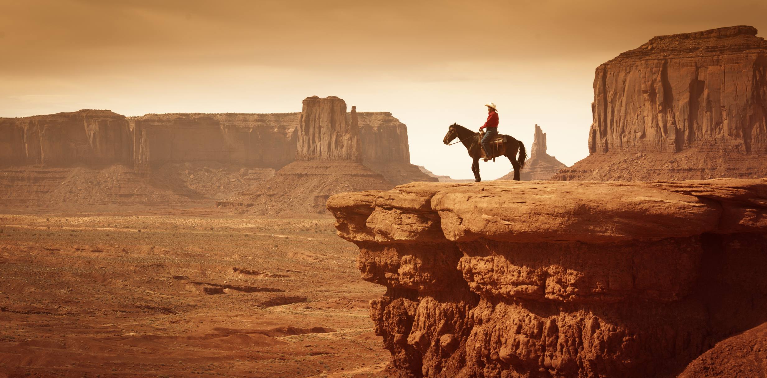 From cowboy economy to spaceman economy