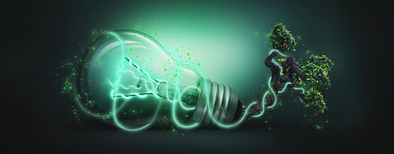 alt-img-energias-renovables