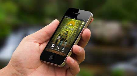 What can I do with my electronic waste?