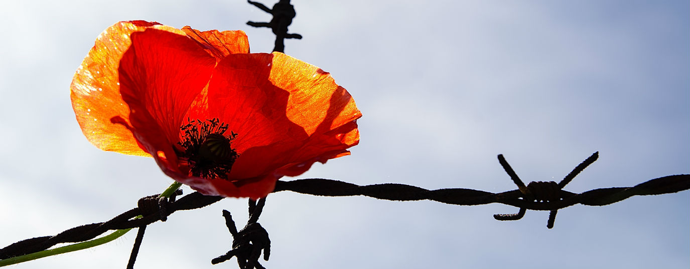 A Brief History of Human Rights