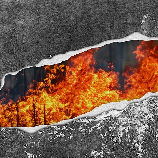 Climate change and forest fires: what’s happening worldwide?