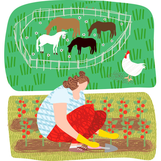 6 key techniques of regenerative agriculture to restore soil health