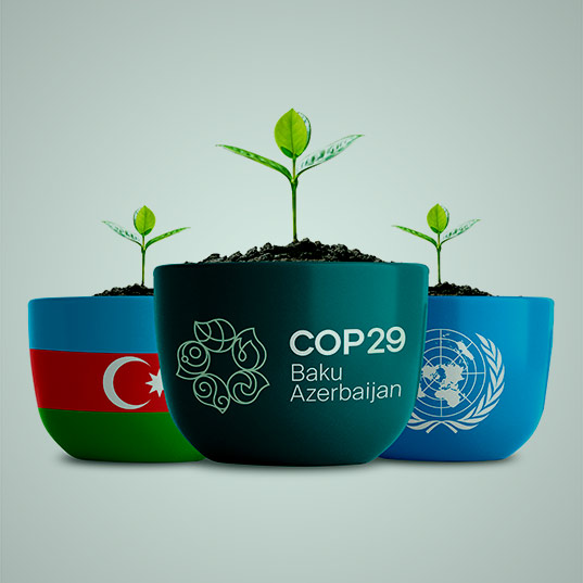 Key Takeaways from COP29