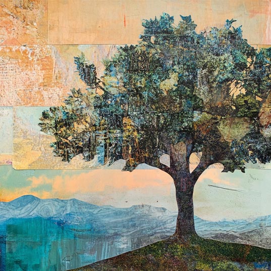 Centennial Forests: Nature's Guardians Against Global Warming